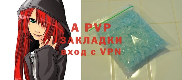 ECSTASY Белокуриха