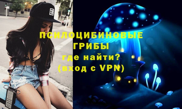 бошки Беломорск